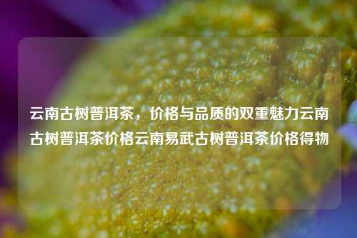 云南古树普洱茶，价格与品质的双重魅力云南古树普洱茶价格云南易武古树普洱茶价格得物