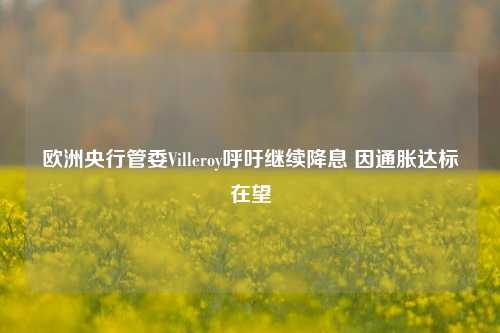 欧洲央行管委Villeroy呼吁继续降息 因通胀达标在望