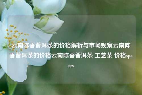 云南陈香普洱茶的价格解析与市场观察云南陈香普洱茶的价格云南陈香普洱茶 工艺茶 价格spacex