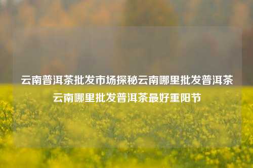 云南普洱茶批发市场探秘云南哪里批发普洱茶云南哪里批发普洱茶最好重阳节