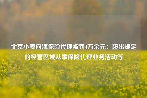 北京小鲸向海保险代理被罚4万余元：超出规定的经营区域从事保险代理业务活动等