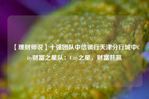 【理财师说】十强团队中信银行天津分行城中City财富之星队：City之星，财富共赢