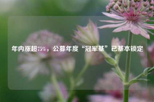 年内涨超75%，公募年度“冠军基”已基本锁定