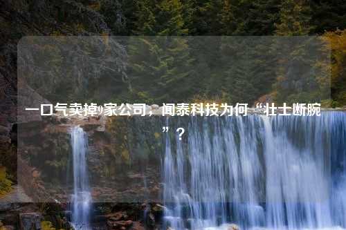 一口气卖掉9家公司，闻泰科技为何“壮士断腕”？