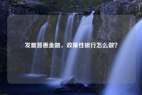 发展普惠金融，政策性银行怎么做？