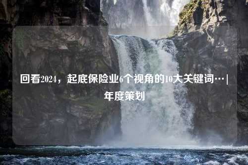 回看2024，起底保险业6个视角的10大关键词…|年度策划