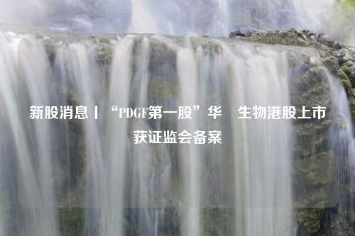 新股消息丨“PDGF第一股”华芢生物港股上市获证监会备案