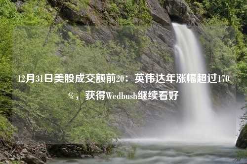 12月31日美股成交额前20：英伟达年涨幅超过170%，获得Wedbush继续看好