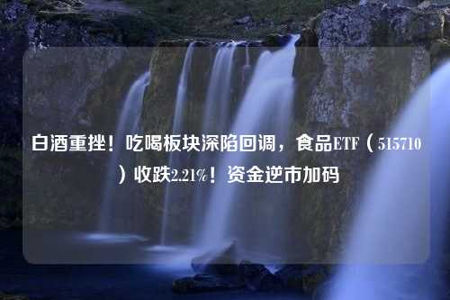 白酒重挫！吃喝板块深陷回调，食品ETF（515710）收跌2.21%！资金逆市加码