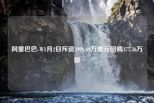 阿里巴巴-W1月2日斥资3998.69万美元回购377.36万股