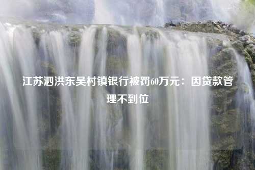 江苏泗洪东吴村镇银行被罚60万元：因贷款管理不到位