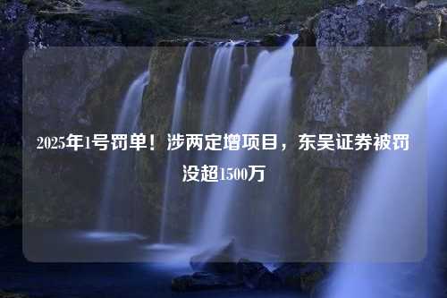 2025年1号罚单！涉两定增项目，东吴证券被罚没超1500万