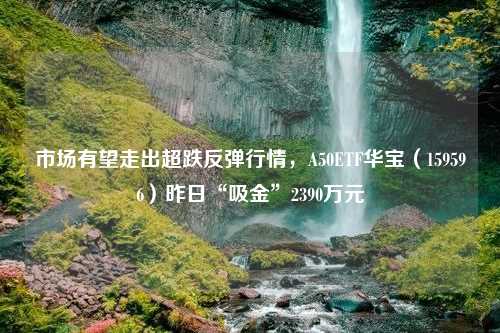 市场有望走出超跌反弹行情，A50ETF华宝（159596）昨日“吸金”2390万元