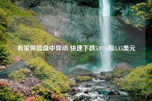 有家保险盘中异动 快速下跌5.97%报3.15美元