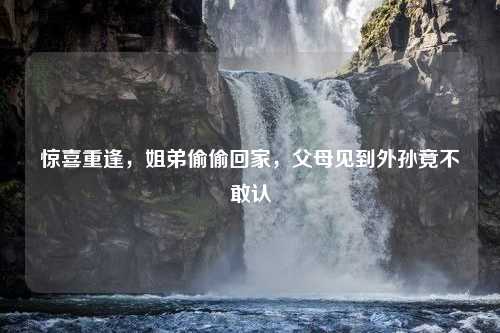 惊喜重逢，姐弟偷偷回家，父母见到外孙竟不敢认