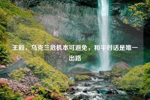 王毅，乌克兰危机本可避免，和平对话是唯一出路