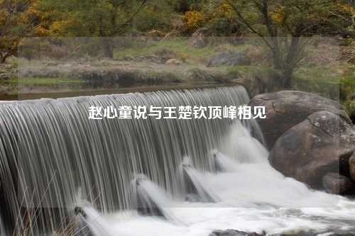 赵心童说与王楚钦顶峰相见