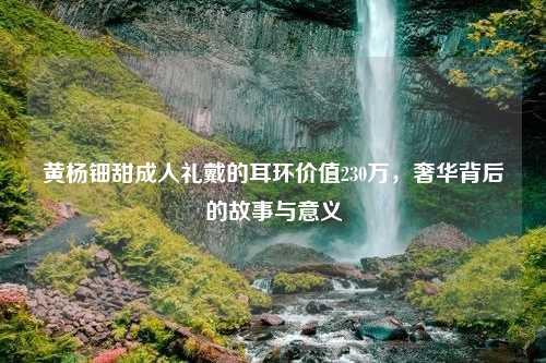 黄杨钿甜成人礼戴的耳环价值230万，奢华背后的故事与意义