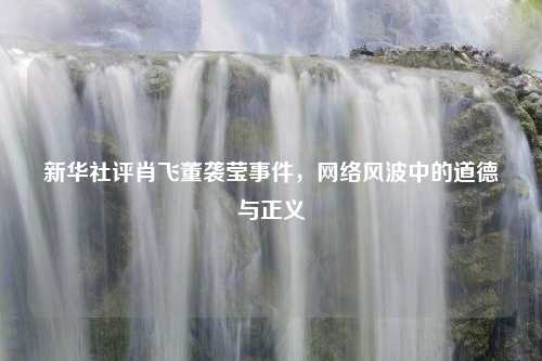 新华社评肖飞董袭莹事件，网络风波中的道德与正义