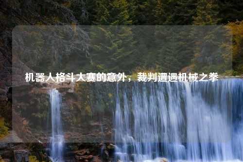机器人格斗大赛的意外，裁判遭遇机械之拳