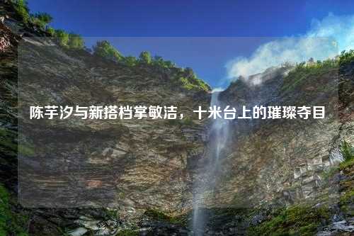 陈芋汐与新搭档掌敏洁，十米台上的璀璨夺目