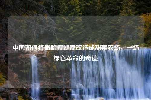中国如何将撒哈拉沙漠改造成甜菜农场，一场绿色革命的奇迹