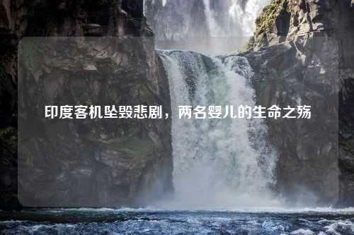 印度客机坠毁悲剧，两名婴儿的生命之殇
